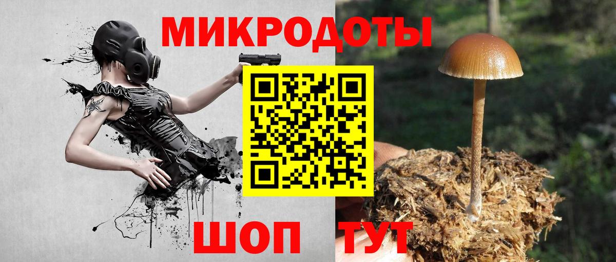 Галлюциногенные грибы Psilocybine cubensis Альметьевск